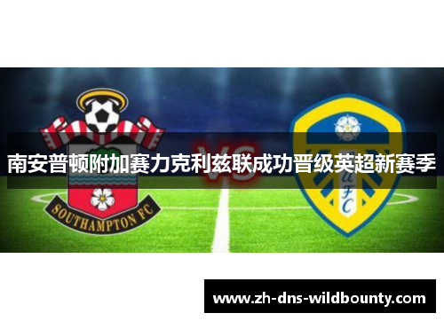 南安普顿附加赛力克利兹联成功晋级英超新赛季 南安普顿附加赛力克利兹联成功晋级英超新赛季
