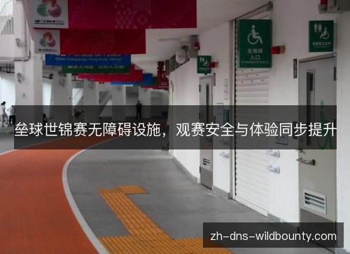 垒球世锦赛无障碍设施,观赛安全与体验同步提升 垒球世锦赛无障碍设施,观赛安全与体验同步提升
